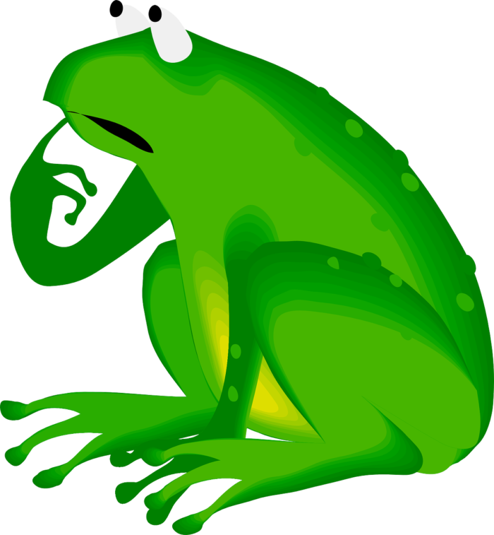 frog bingung