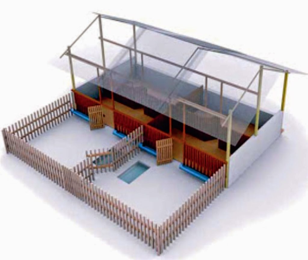 Desain Kandang yang Ideal Untuk Ternak Bebek Petelur desain kandang ternak bebek petelur yang ideal