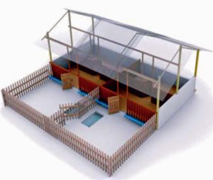 desain kandang bebek yang ideal