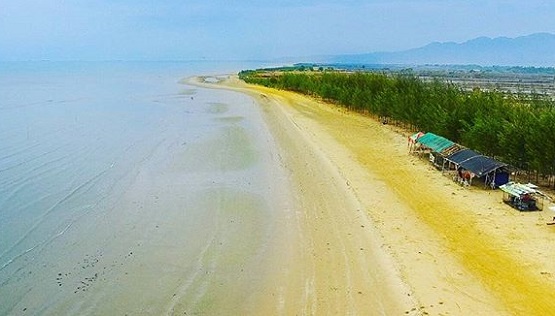 Asal usul pantai karang jahe rembang dengan satu kilometer pohon cemara