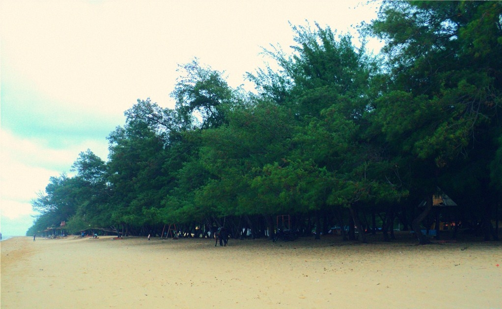 pesona wisata pantai karang jahe rembang beach