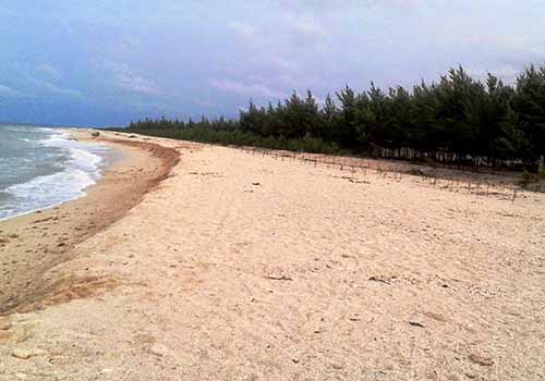 asal usul wisata pantai karang jahe rembang