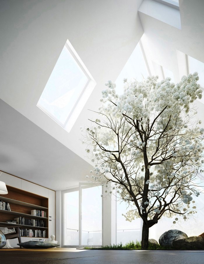 aneka jenis tanaman indoor dan outdoor