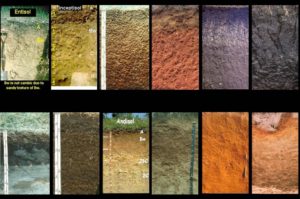 persebaran tanah di Indonesia