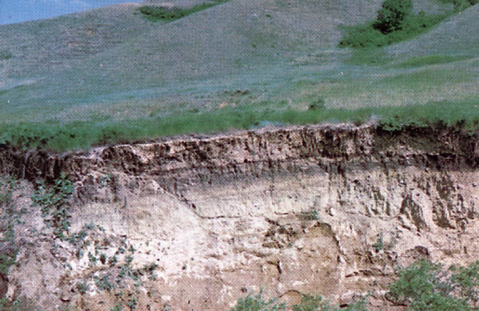 jenis jenis tanah aluvial yang ada di indonesia dan persebarannya