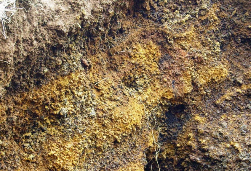 jenis tanah andosol yang ada di indonesia