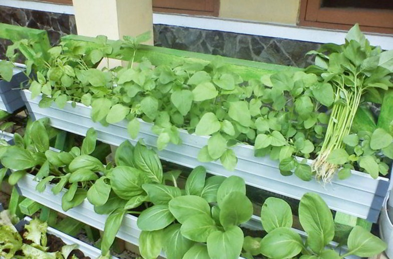 Contoh Teks Eksposisi Singkat Tentang Teknologi Tepat Guna Contoh Paragraf Teks Eksposisi Singkat Tentang Teknologi Tepat Guna