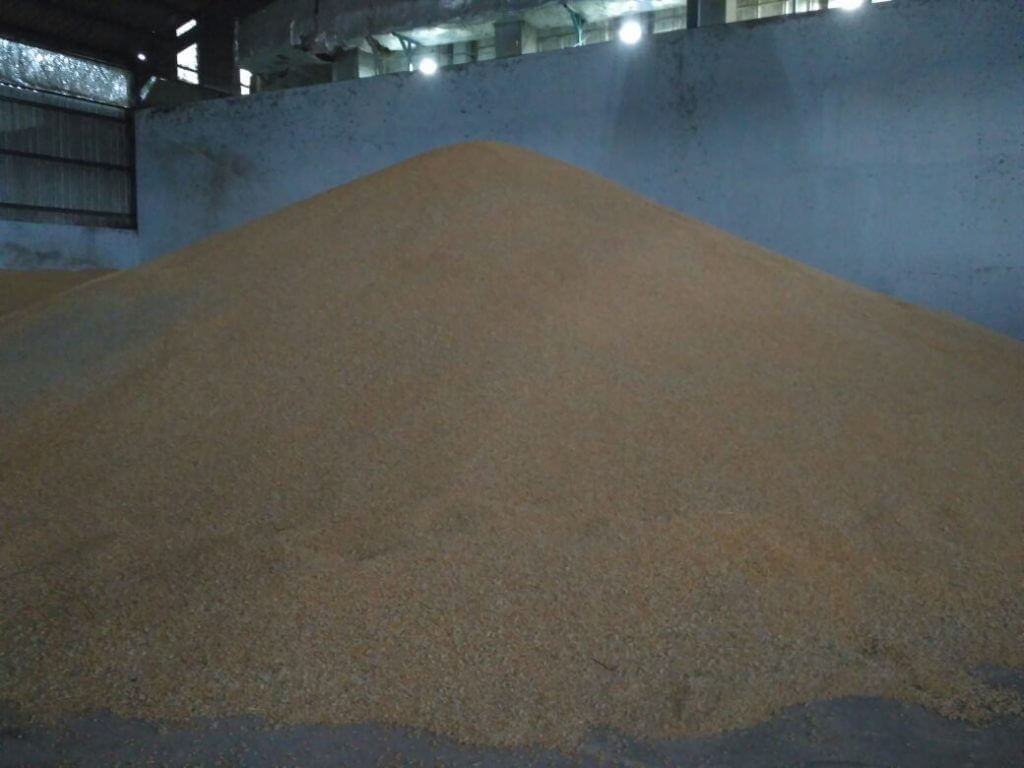 Gudang Jual Jagung Pipil
