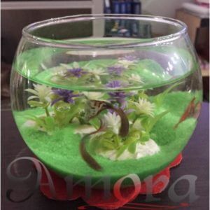 Jual Aquarium Bulat