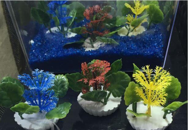 Jual Aquarium Bulat bunga