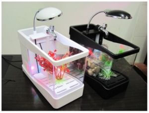 Jual Aquarium Mini Murah