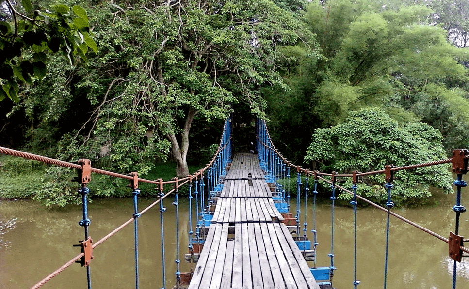 Objek Wisata Palembang Taman Hutan Wisata Punti Kayu